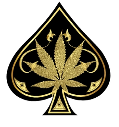 Ace Ultra Premium Shop