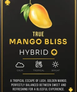 Ace Ultra Mango Bliss